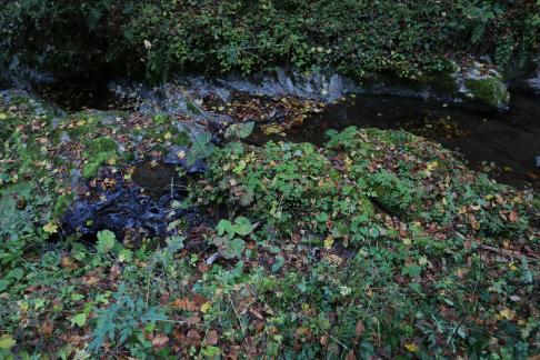 mountain stream 8