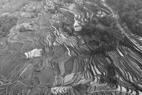 Terraced fields scenery 18