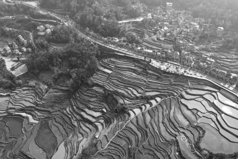 Terraced fields scenery 19