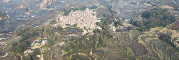 Terraced fields scenery 25