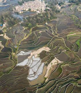 Terraced fields scenery 27