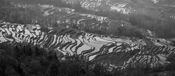 Terraced Fields Holy Scenery 10