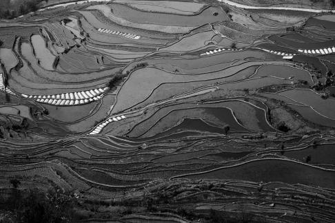 Terraced Fields Holy Scenery 12