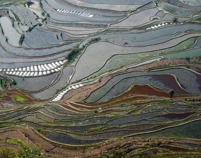Terraced Fields Holy Scenery 14