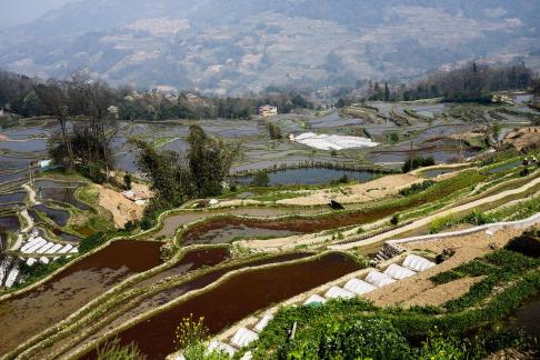 Terraced Fields Holy Scenery 18