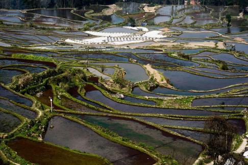 Terraced Fields Holy Scenery 20