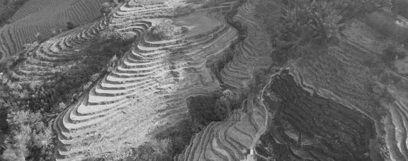 Verses of the Earth 11