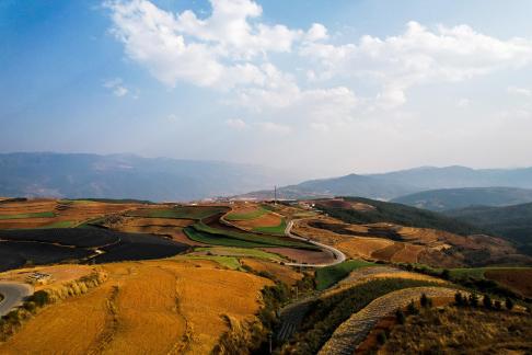 Green Valley Golden Steps 1