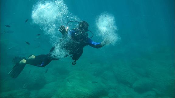 Sea lover