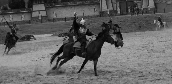 Equestrian performance 8