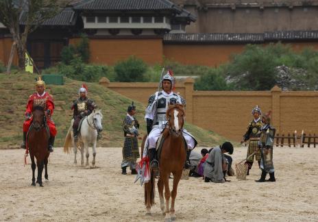Equestrian performance 14