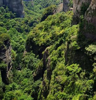 Green Cliff 33