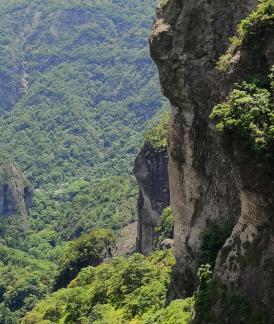 Green Cliff 34