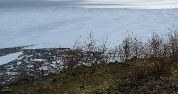 landscape harmony 4