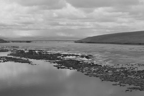 Silent riverbank 1