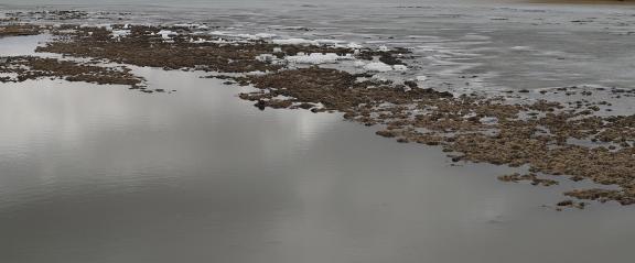 Donghe River 1