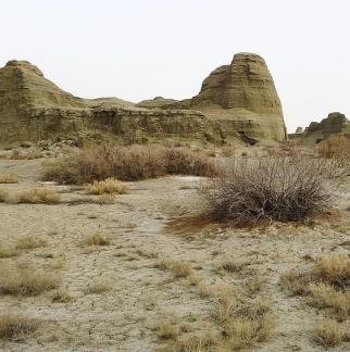 Gobi desert 2