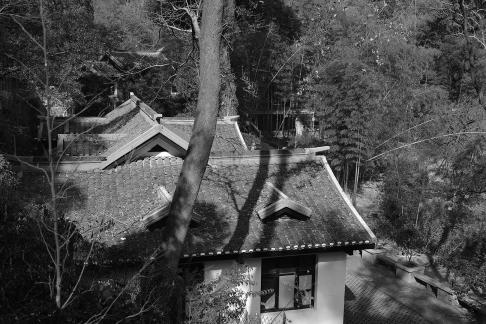 Journey to Yuelu Mountain 7