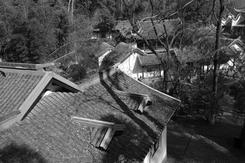 Journey to Yuelu Mountain 8