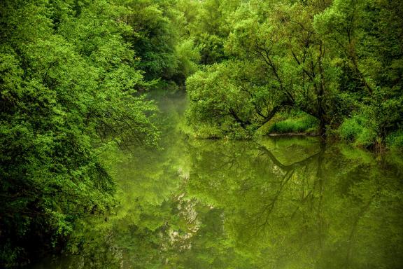 Green world