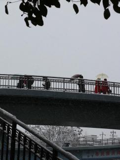 Snowflakes Dancing in the World 85