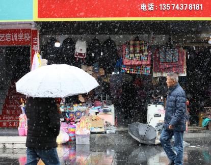 Snowflakes Dancing in the World 87