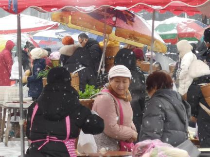 Snowy scenery 81