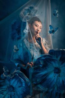 Blue Butterfly2