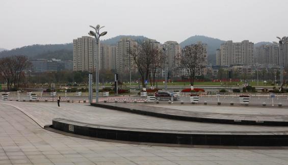Modern Dome 7