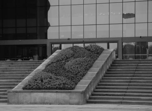 Urban Walk 2