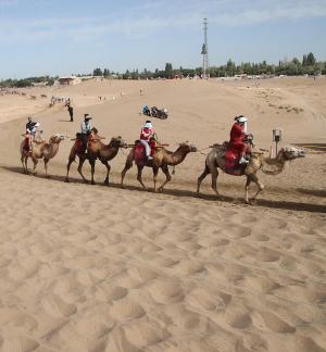 Desert Journey 93