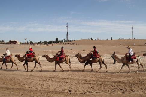 Desert Journey 95