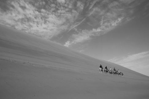 Desert Journey 89