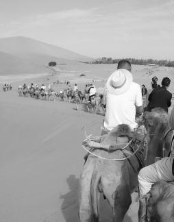 Desert Journey 91
