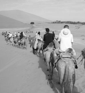 Desert Journey 92