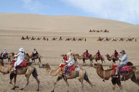Desert Journey 85