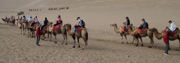 Desert Journey 87