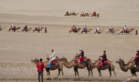 Desert Journey 83