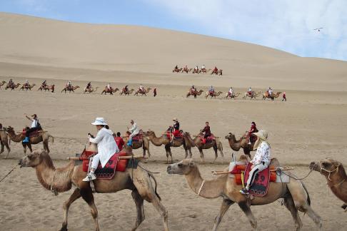 Desert Journey 84