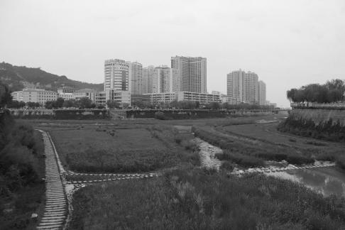 Urban Green 1