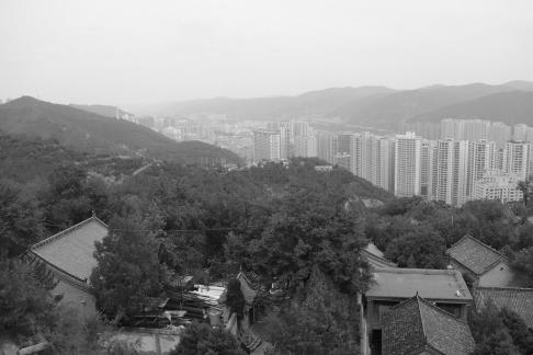 Urban Green 3