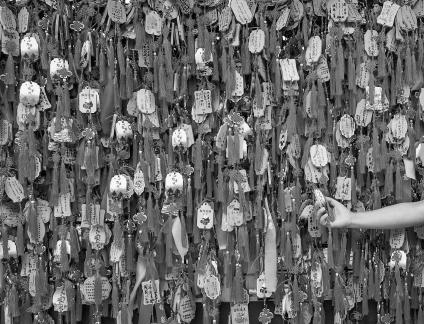Millions of wishes