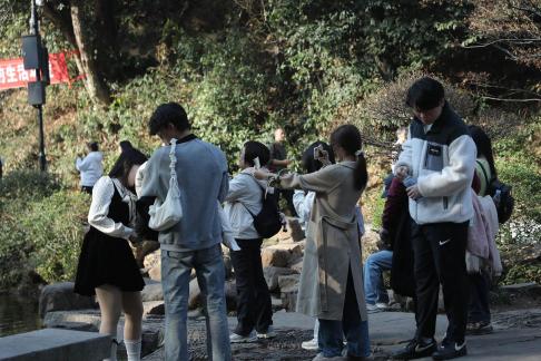 Journey to Yuelu Mountain 100