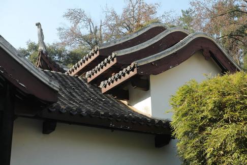 Journey to Yuelu Mountain 108