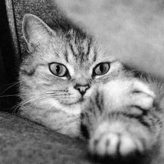 Gazing at you