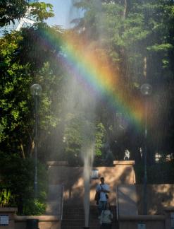 Urban Rainbow