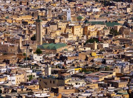 Fez Green Roofs