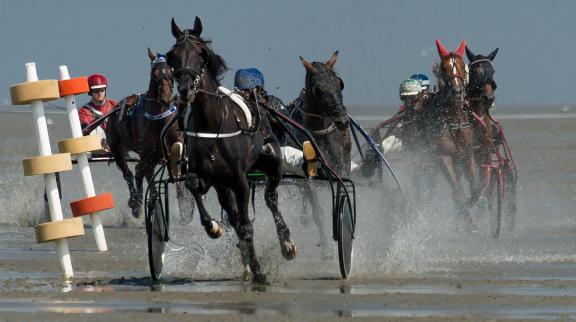 trot race 32