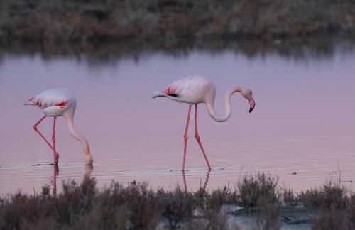 Walking on Reflections