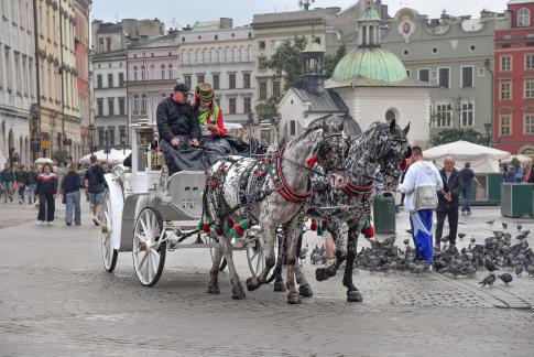 Krakow Old Town No1